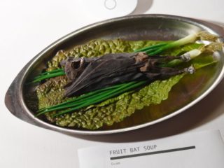 Sopa de murciélago, la causante del coronavirus