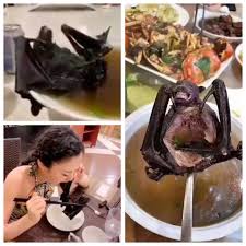 Sopa de murciélago, la causante del coronavirus