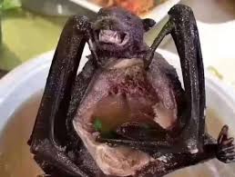 Sopa de murciélago, la razón del coronavirus