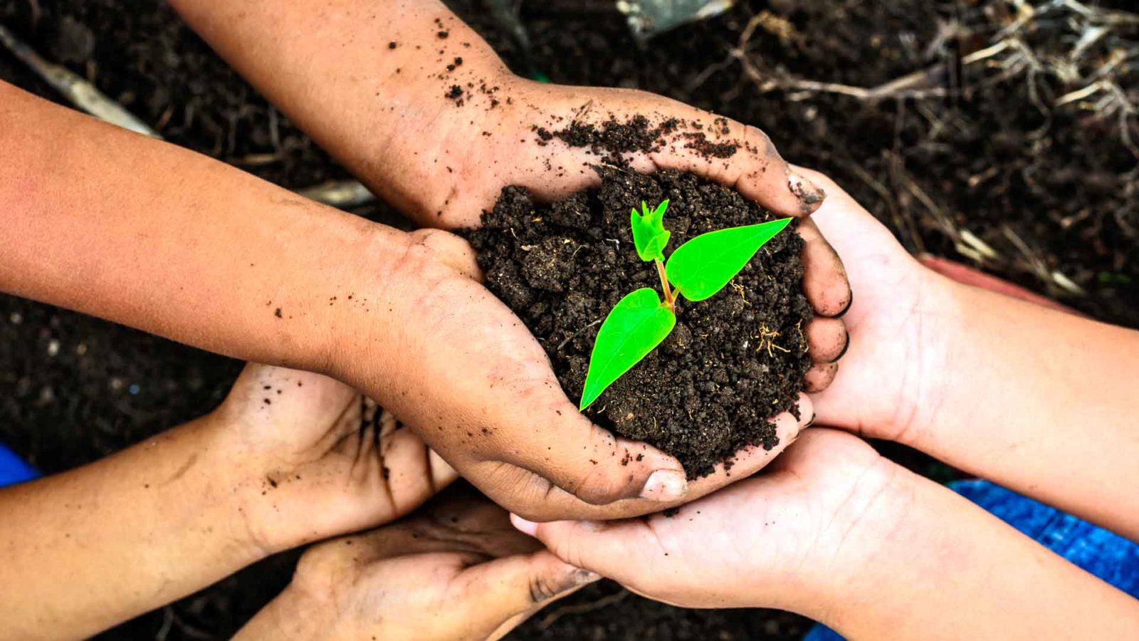 Huella De Carbono Se Al De La Actividad Del Ser Humano Dolce Vita